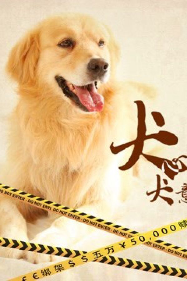 Quyết Tâm Của Chó